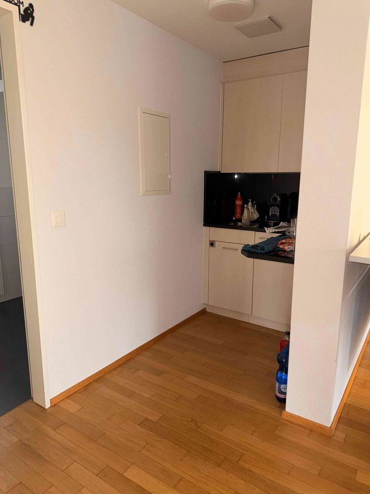 Ufficio & Commercio di 2.5 locali in affitto a Küssnacht am Rigi - immagine 1/4