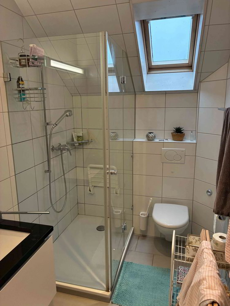 2.5 rooms Apartment for rent in Muttenz - image 1/8