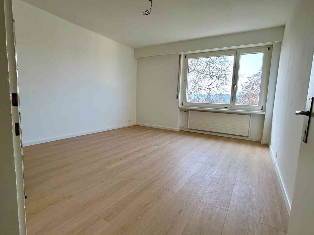 2.5 rooms Apartment for rent in Sciaffusa - image 1/4