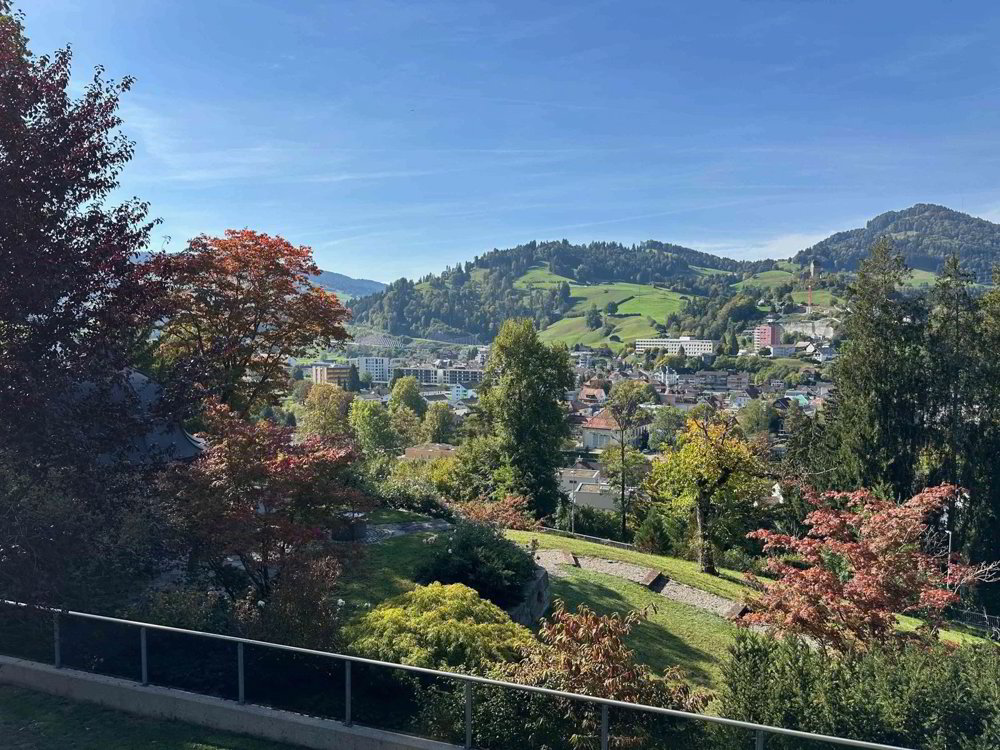 4.5 rooms Apartment for rent in Wattwil - image 1/12