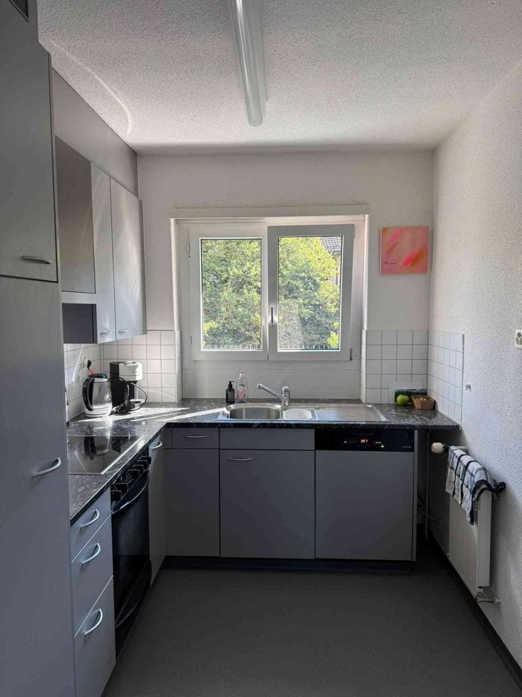 2.5 rooms Apartment for rent in Zurich - image 1/6