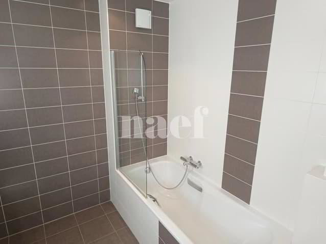 6.5 Zimmer Wohnung zu vermieten in Genève - Bild 1/7