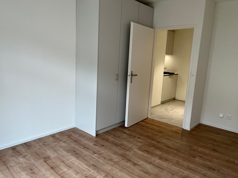 1 rooms Apartment for rent in Zürich - image 1/4