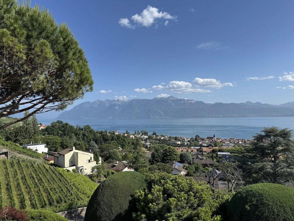 6 rooms Apartment to buy in Lutry - image 1/8