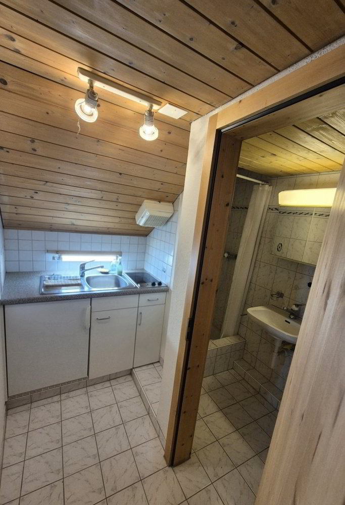 Appartement 1 pièces à louer à Tamins - image 1/5