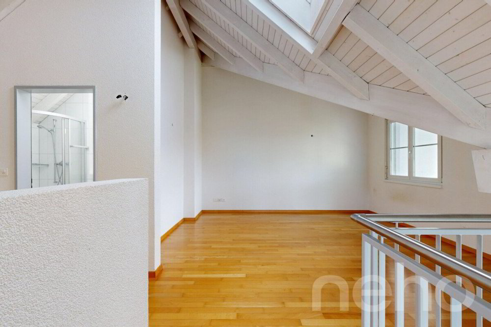 5.5 Zimmer Wohnung zum verkaufen in Freidorf TG - Bild 1/12