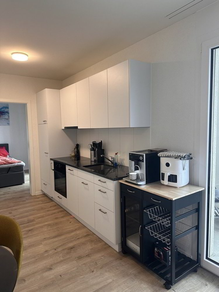 2.5 rooms Apartment for rent in Berikon - image 1/8