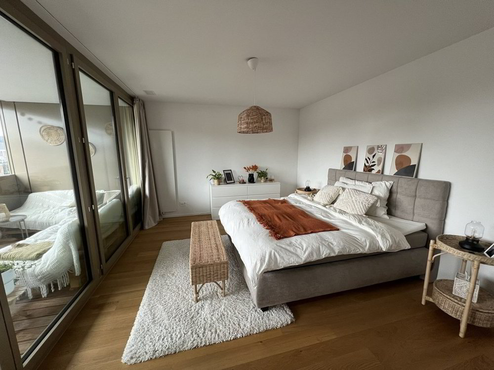 Appartamento di 3 locali in affitto a Winterthur - immagine 1/8