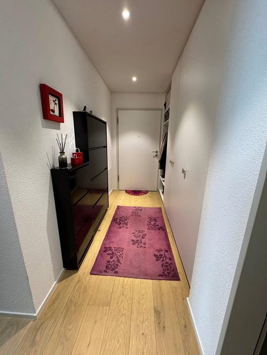 Appartement 3 pièces à louer à Bassersdorf - image 1/10