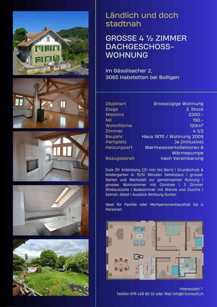 4.5 rooms Apartment for rent in Bolligen - image 1/6