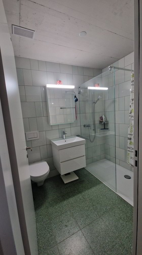 Appartamento di 2 locali in affitto a Lucerna - immagine 1/5