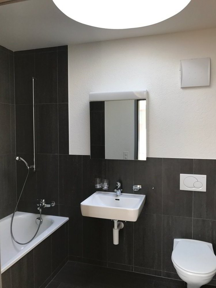 3.5 Zimmer Wohnung zu vermieten in Widnau - Bild 1/5