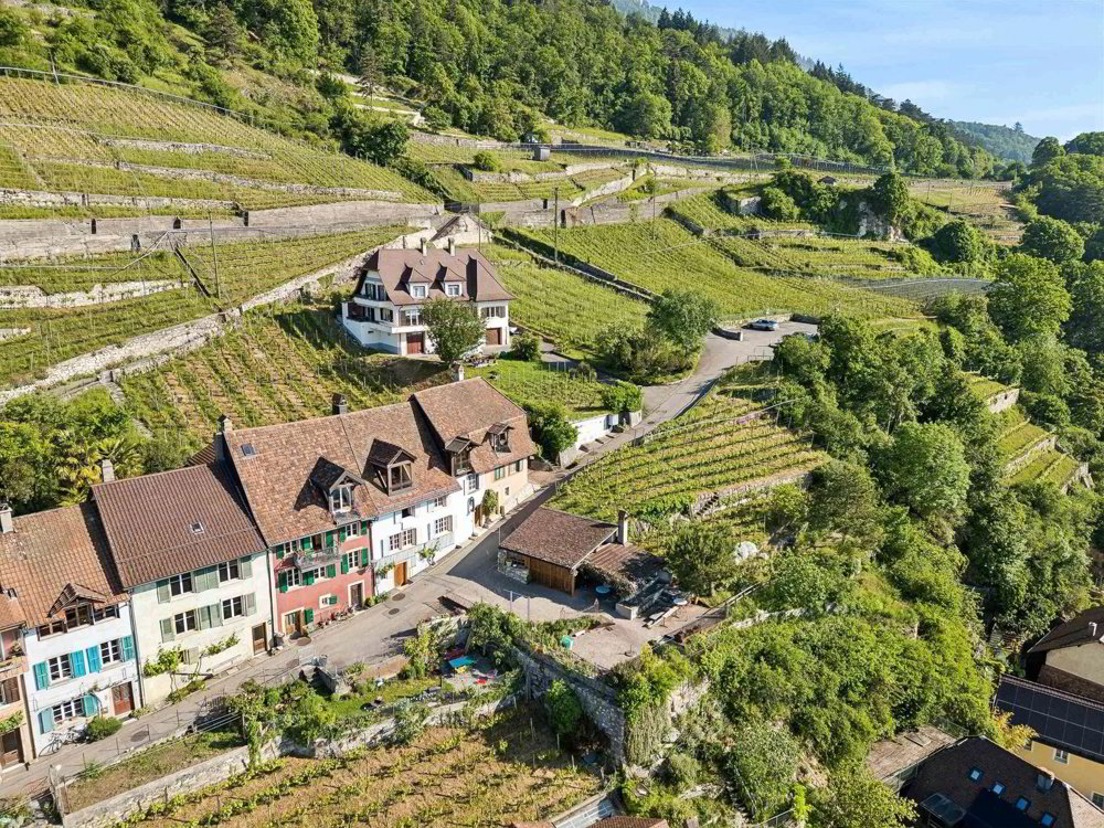 5.5 Zimmer Haus zu vermieten in Tüscherz-Alfermée - Bild 1/13