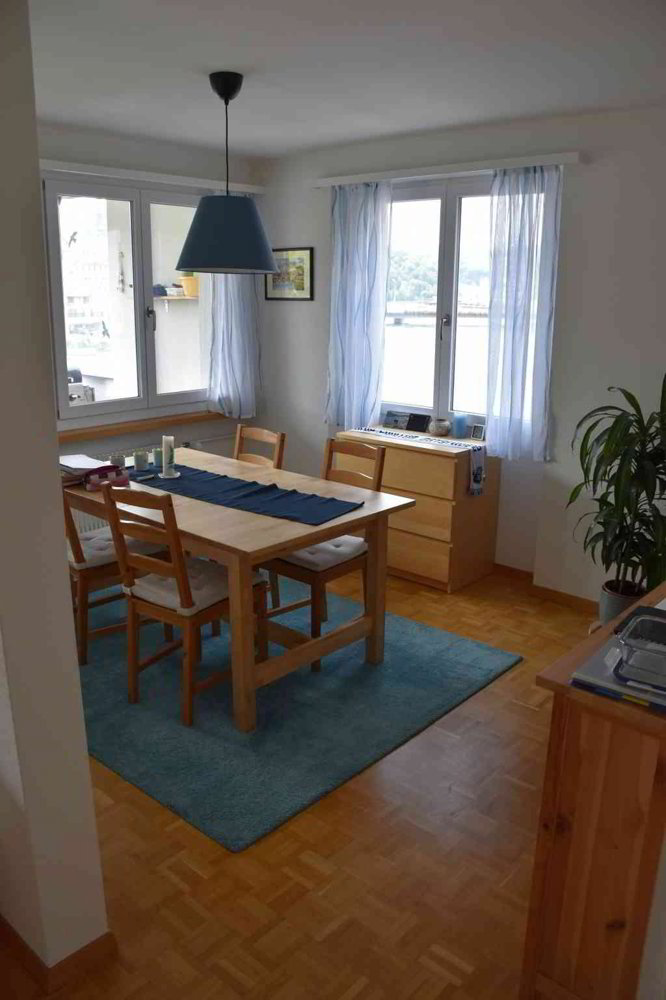 Appartamento di 4 locali in vendita a Schaffhausen - immagine 1/8