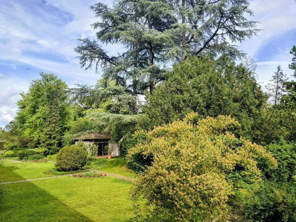 2.5 rooms Apartment to buy in Basel - image 1/11