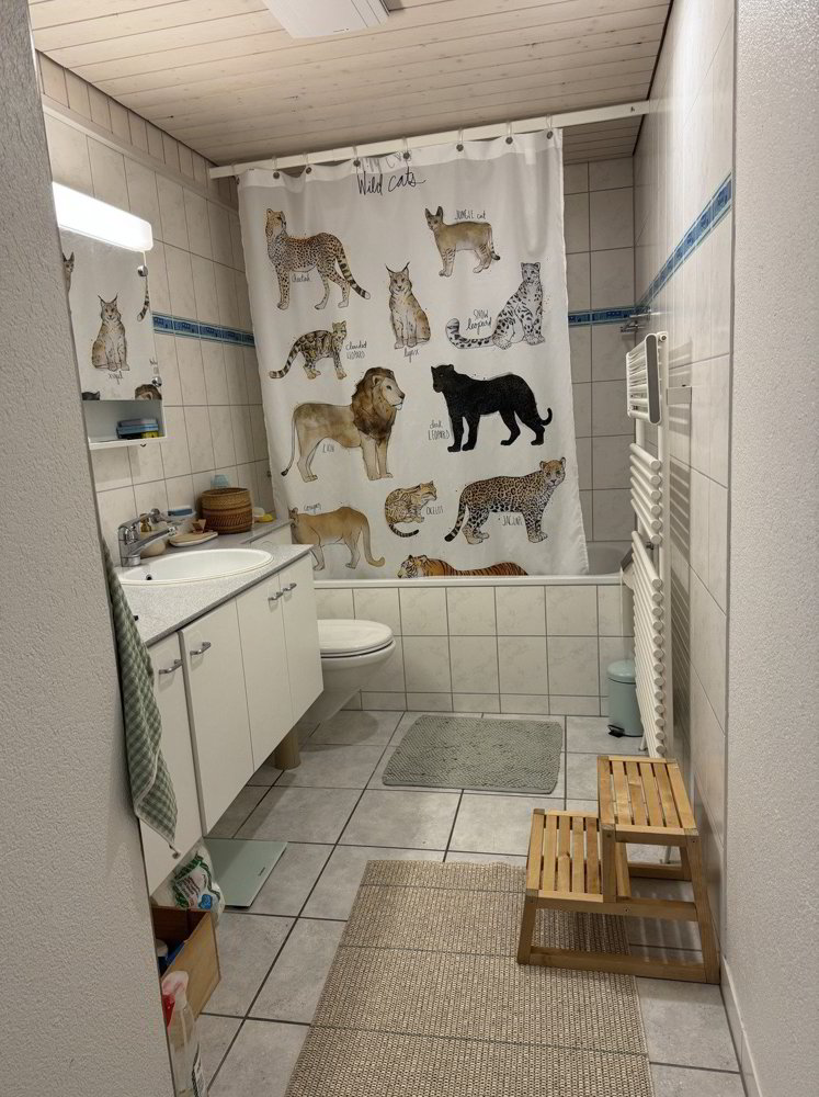 4 Zimmer Wohnung zu vermieten in Berne - Bild 1/8