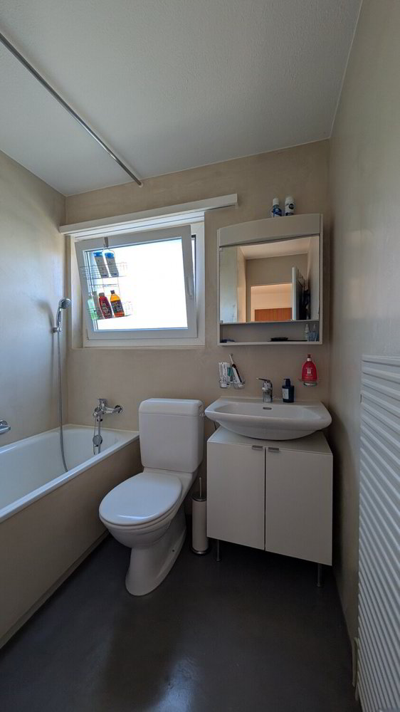 Appartement 2 pièces à louer à Adliswil - image 1/10