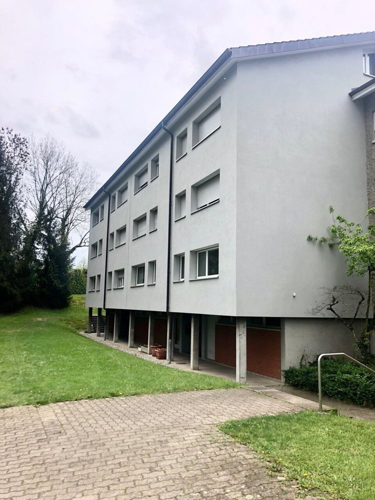 3 Zimmer Wohnung zu vermieten in Murten - Bild 1/8