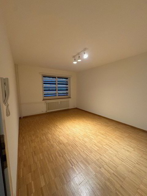 null rooms Office & Commercial for rent in Bâle - image 1/3