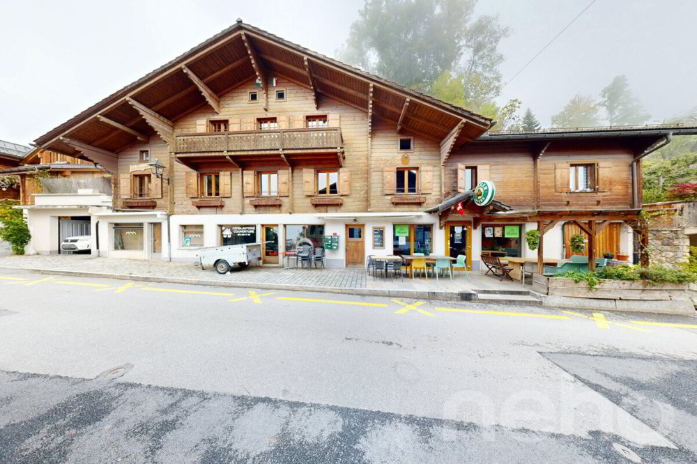 Maison 13 pièces à acheter à Gryon - image 1/12