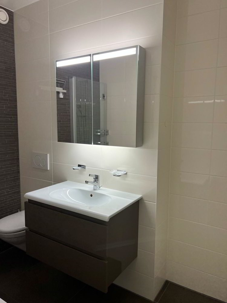 null rooms Apartment for rent in Petit-Lancy - image 1/5