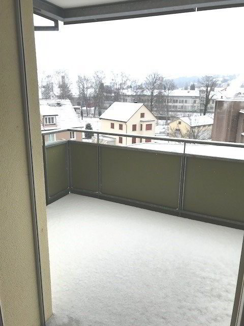 1 rooms Apartment for rent in Frauenfeld - image 1/7