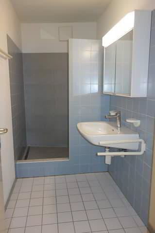 2.5 rooms Apartment for rent in La Neuveville - image 1/8