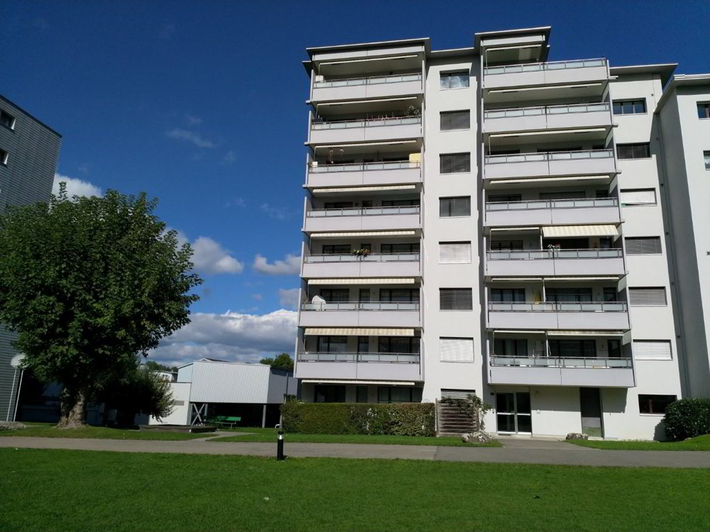 1.5 rooms Apartment for rent in Ebikon - image 1/9