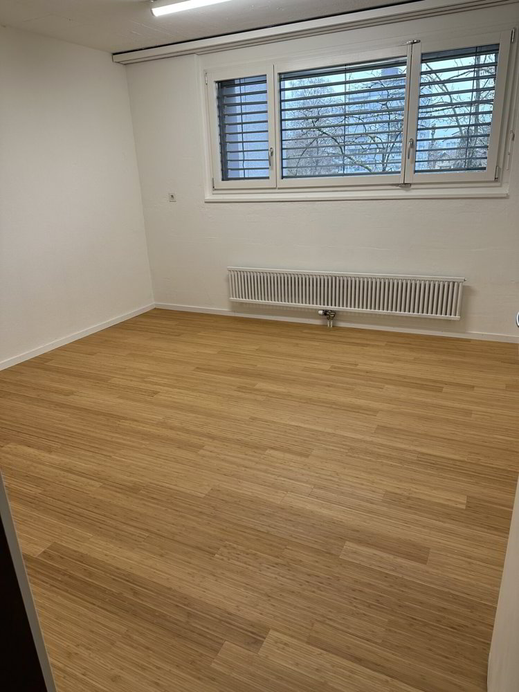 5.5 rooms Apartment for rent in Ebikon - image 1/17