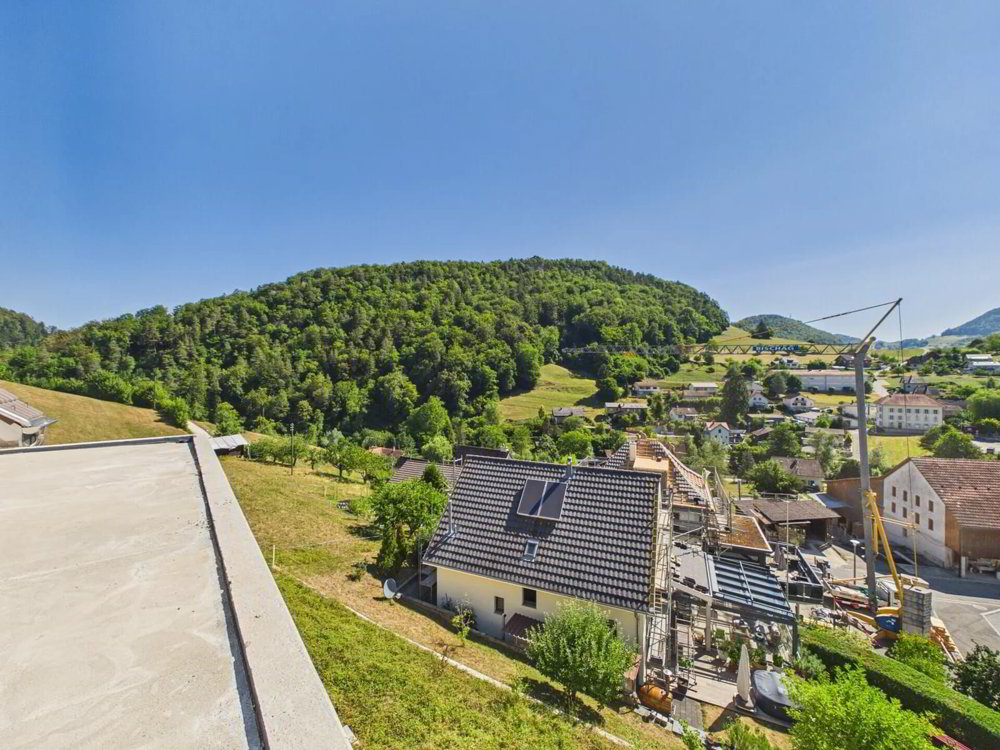 7.5 rooms House to buy in Bärschwil - image 1/13