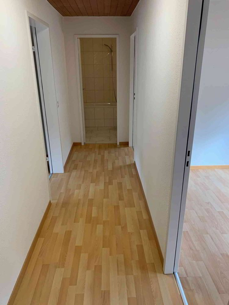Appartamento di 3 locali in affitto a Tecknau - immagine 1/13