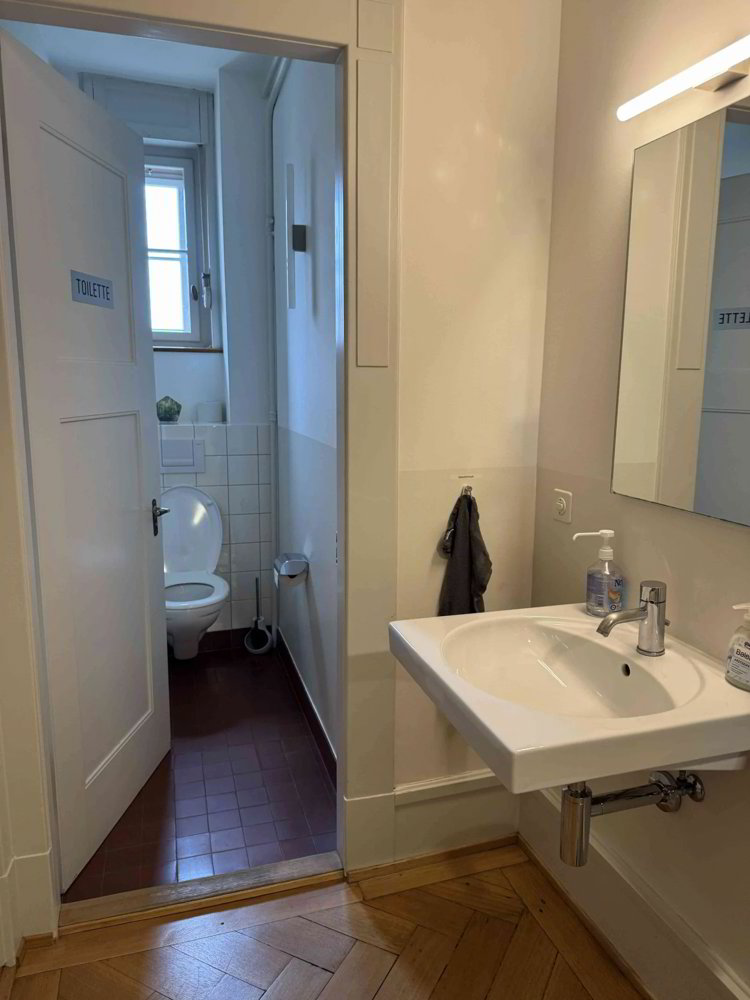 1 rooms Office & Commercial for rent in Basel - image 1/4