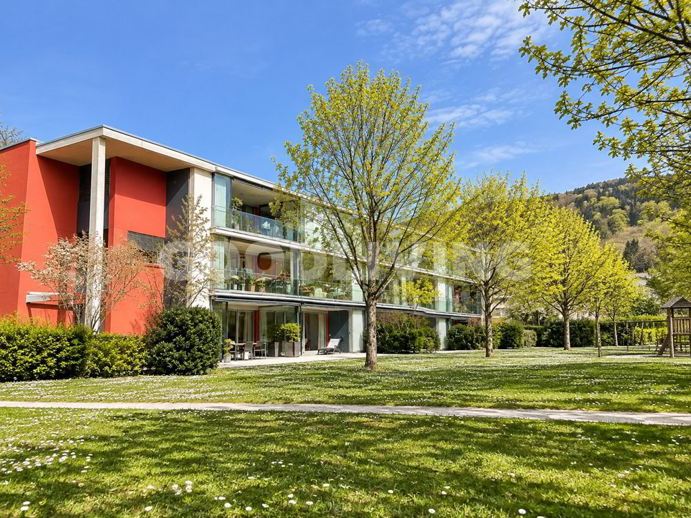 4.5 rooms Apartment to buy in Arlesheim - image 1/10