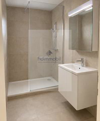 1 rooms Apartment for rent in Neuchâtel - image 1/4