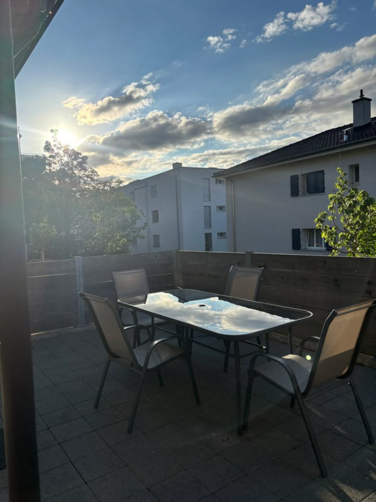 Appartamento di 2 locali in affitto a Neuenburg - immagine 1/13