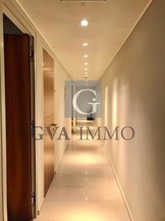Superbes bureaux dans le quartier de Malagnou 1/5