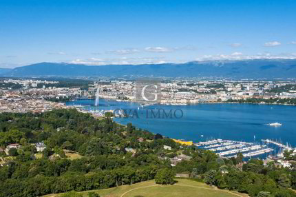 Panoramic view of the lake and the Jura 1/1