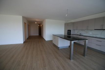 Appartement de 4.5 pièces en location à Montfaucon - 149 m² 1/5