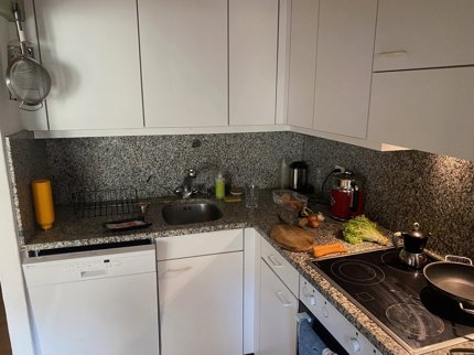 21/2 ROOM APARTMENT IN BERN, FURNISHED, TEMPORARY 1/5