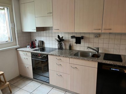 41/2 ROOM HOUSE IN OBERGLATT (ZH), FURNISHED, TEMPORARY 1/5