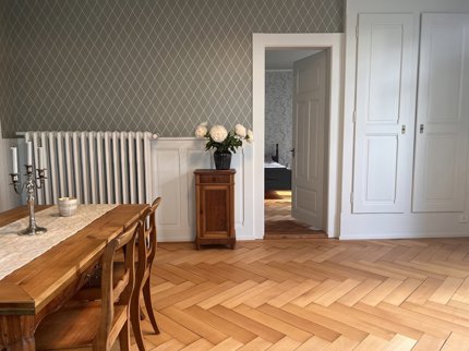 31/2 ROOM APARTMENT IN THUN (BE), FURNISHED, TEMPORARY 1/5
