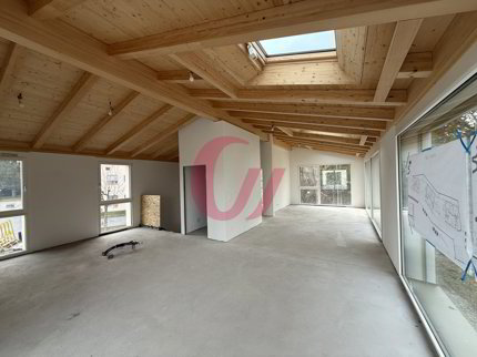 Duplex de 5.5 pièces en vente à Sorens - 179 m² 1/5
