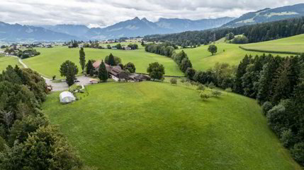 Le domaine historique Ô Colombettes est à la recherche de son... 1/5