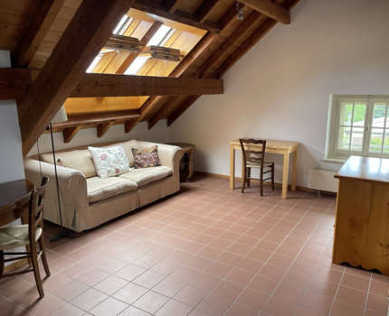 Très belle maison locative des années 30 , 3 appts, 582 m2 terrain 1/5