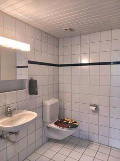 Gewerbefläche mit Rampe an idealer Lage in Bösingen zu vermieten 1/5