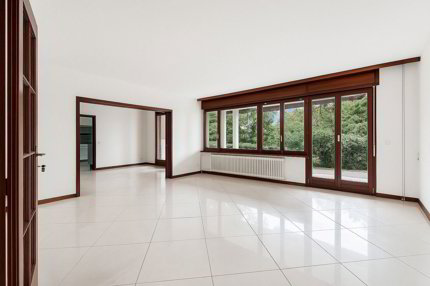 Maison individuelle de 11 pièces en vente à Grand-Lancy - 480 m² 1/5