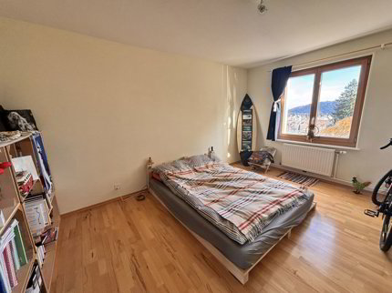 Appartement de 3.5 pièces loué 1/5