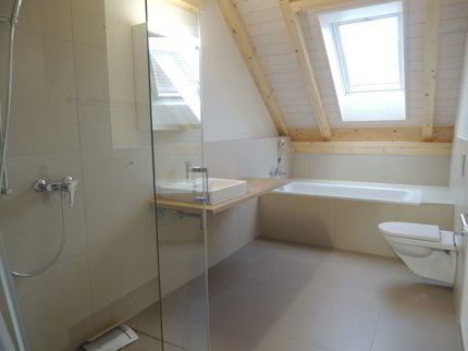 Generationenhaus (5.5 und 2.5 Zi. Wohnung) 1/5