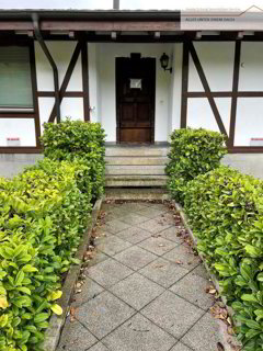 House for sale, Berstelstrasse 4 (Arisdorf, Switzerland) 1/5