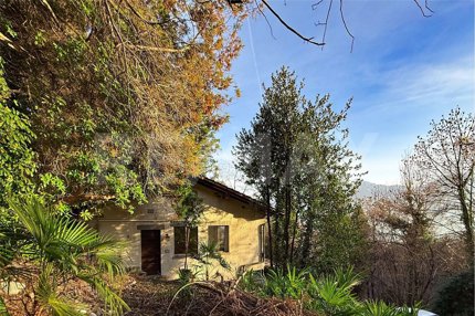 5.5 Zimmer-Haus mit vielen Möglichkeiten 1/3